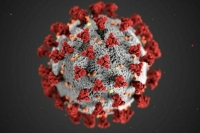 Роспотребнадзор предупредил о риске одновременного заражения гриппом и COVID-19