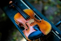 Скрипки и смычки хотят маркировать перед гастролями