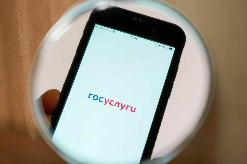Зачем власть собирает домены
