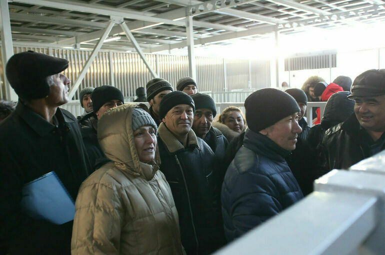 МВД предлагает ввести новый вид убежища в России
