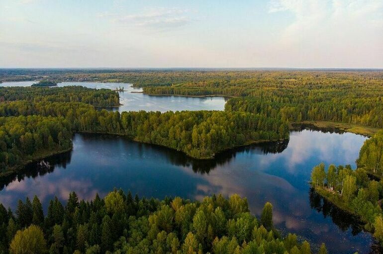 Кабмин предложил запретить создание новых биосферных полигонов в заповедниках 