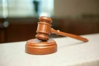 Лидера группировки хакеров Lurk приговорили к 14 годам колонии