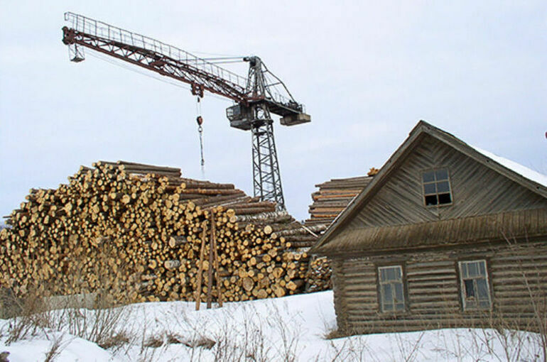 Кабмин определит порядок продажи и утилизации конфискованной древесины
