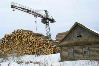 Кабмин определит порядок продажи и утилизации конфискованной древесины