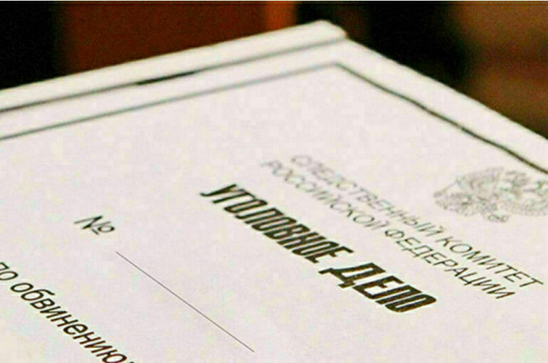 Следователи за год направили в суды уголовные дела в отношении 11 тысяч подростков