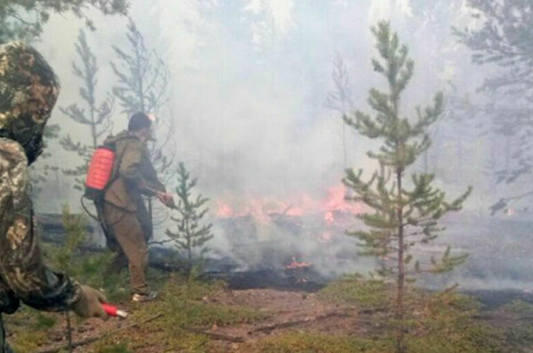 Добровольцам-пожарным хотят дать статус волонтёров
