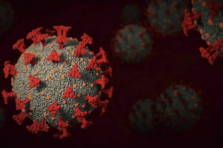 Роспотребнадзор смягчил рекомендации по профилактике коронавируса