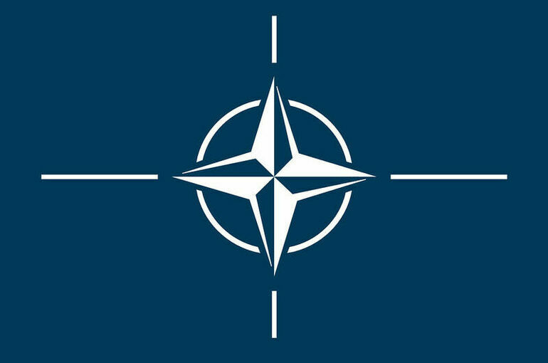 Шольц: Войска НАТО не будут вмешиваться в события на Украине 