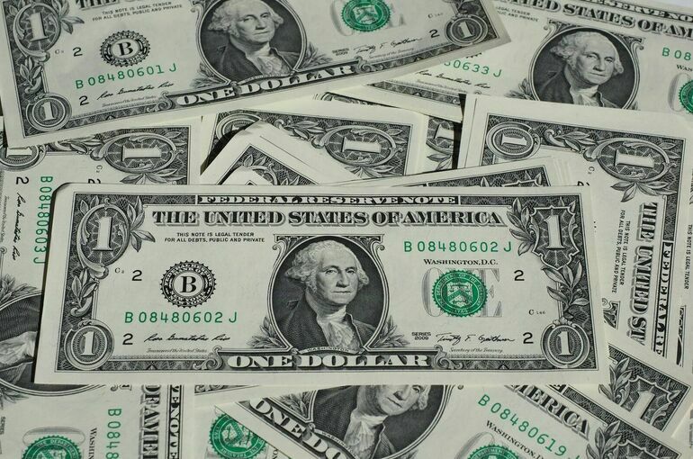 Свистунов призвал россиян не скупать валюту по любой цене