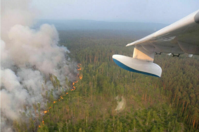 Штрафы для нарушителей пожарной безопасности в лесу хотят повысить в разы