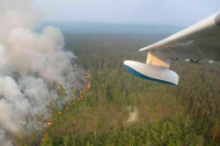 Штрафы для нарушителей пожарной безопасности в лесу хотят повысить в разы