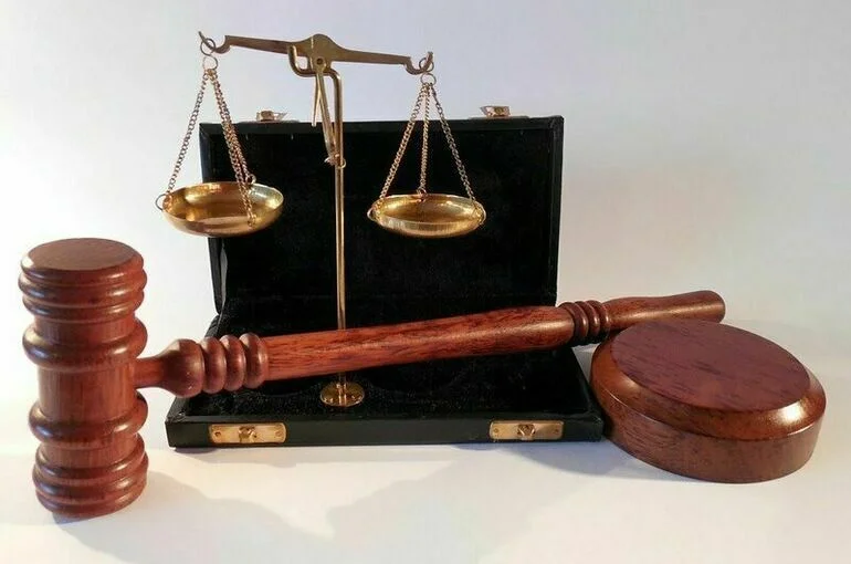 Обвинение запросило для Навального 13 лет лишения свободы