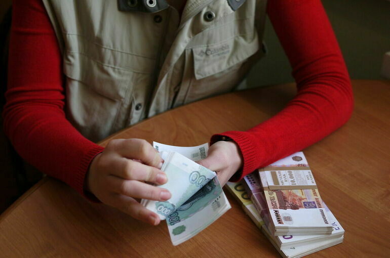 Счетная палата предложила напоминать россиянам о неиспользованном маткапитале