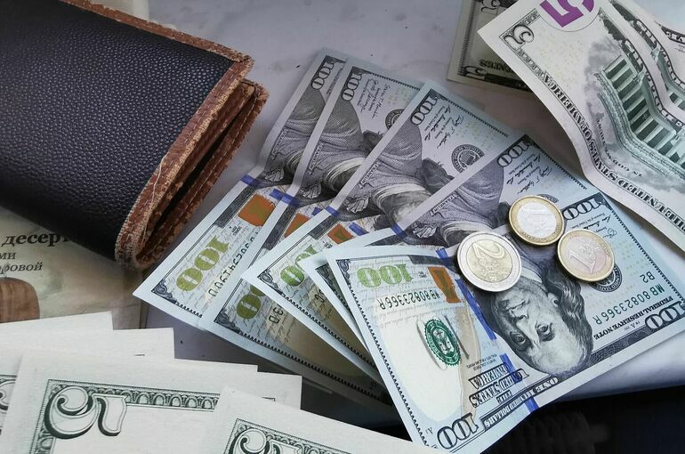 Экономист: России не нужно сворачивать с пути отказа от доллара 
