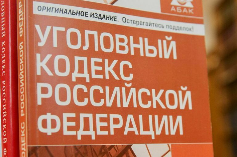 В России предложили ввести уголовное наказание за фальсификацию налоговой отчетности
