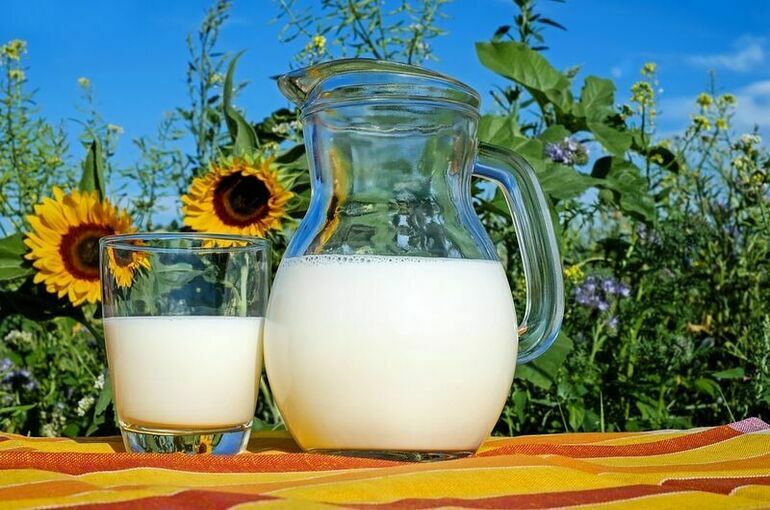 Евразийская комиссия обнулила на полгода импортные пошлины на молоко и сахар