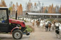 Фермерам предлагают сообщать о господдержке онлайн