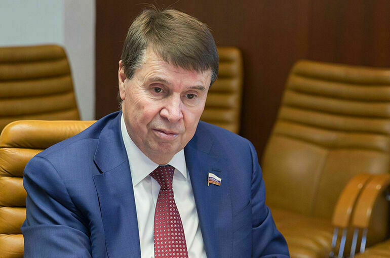 Сенатор Цеков: ЕС может остаться без газа из-за нежелания платить в рублях