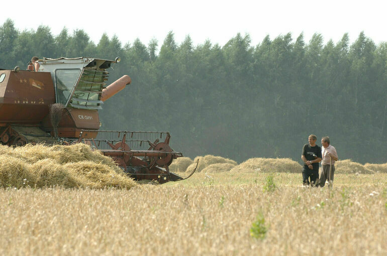 Патрушев: Обеспеченность семенами зерновых в РФ составляет более 100%