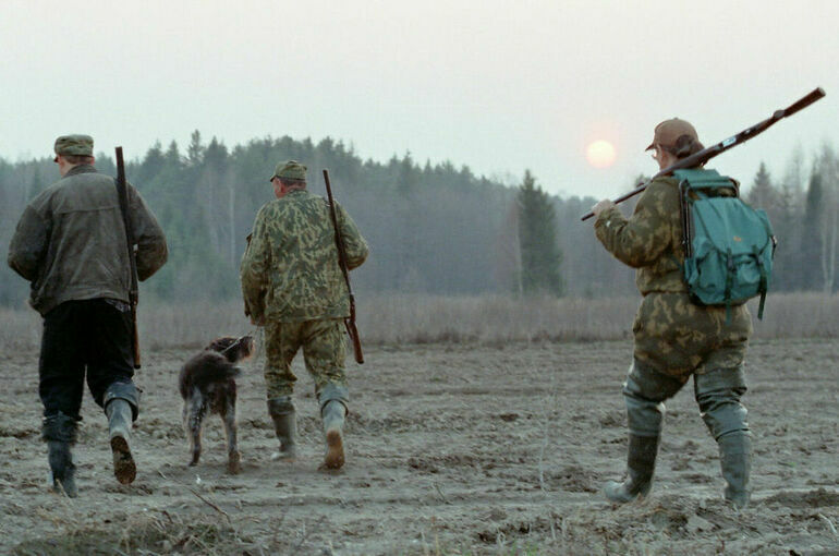 В регионах предлагают устанавливать правила охоты индивидуально