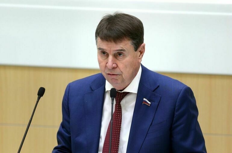 Цеков прокомментировал заявление Зеленского о новых санкциях против Москвы