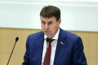 Цеков прокомментировал заявление Зеленского о новых санкциях против Москвы