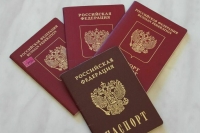 Оформление гражданства детям с родителем-россиянином предложили упростить