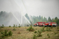От наказания за лесные пожары уйти не удастся