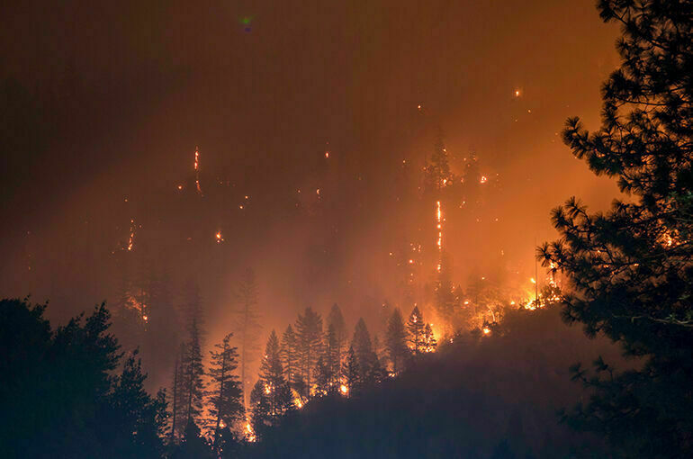 Для пилотов хотят ввести обязанность сообщать о лесных пожарах 