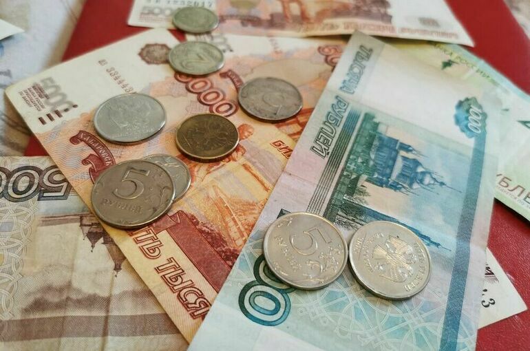Число граждан-банкротов в России превысило полмиллиона