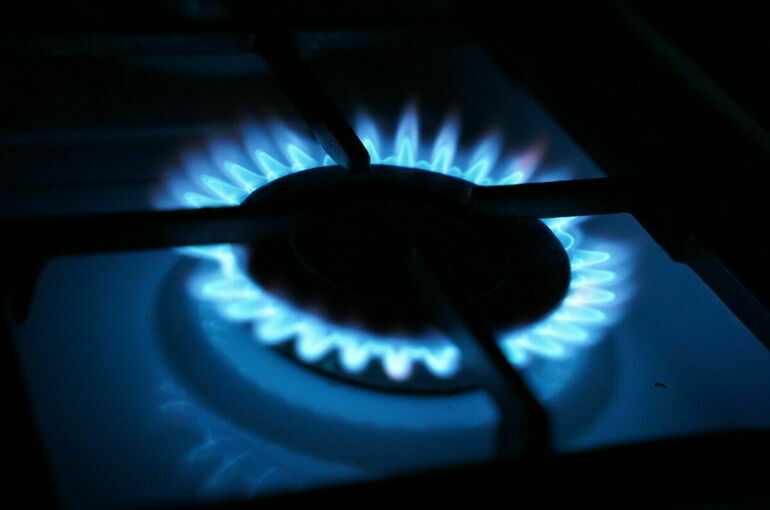 В Германии оценили запасы газа на случай остановки поставок из РФ
