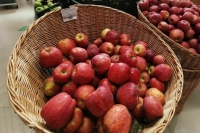 В Совфеде поддержали идею обнулить НДС для производителей яблок