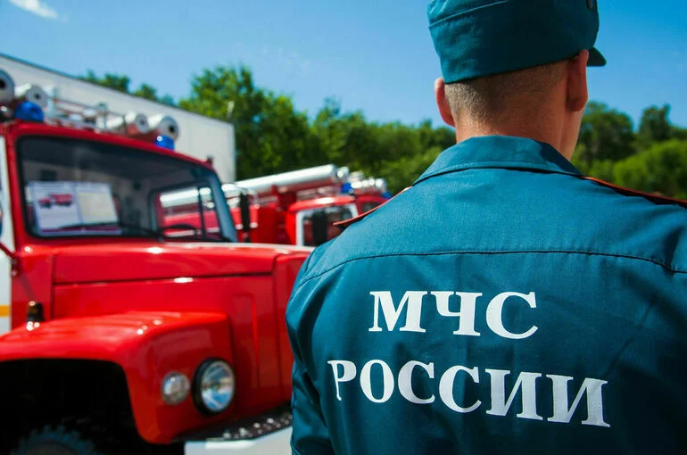 При угрозе жизни сотрудникам МЧС смогут выдавать оружие