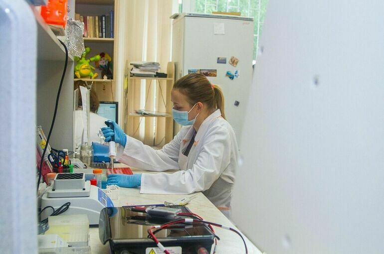 Наумов: Введение статуса «молодой ученый» может привлечь в страну новых специалистов