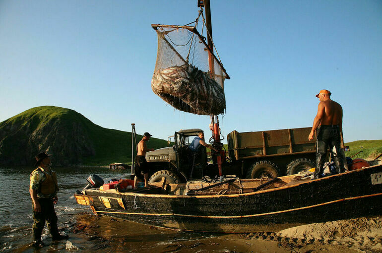 Кабмин предложил усилить контроль за инвесторами в рыболовстве