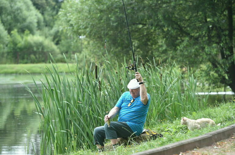 Специалист предупредил, в каких парках города можно встретить клещей