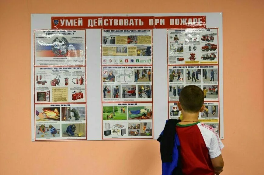 Детским лагерям хотят разрешить закупать недешевые продукты
