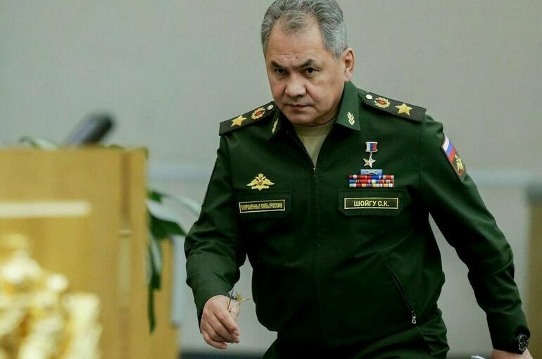 Шойгу: Мариуполь находится под контролем Российской армии