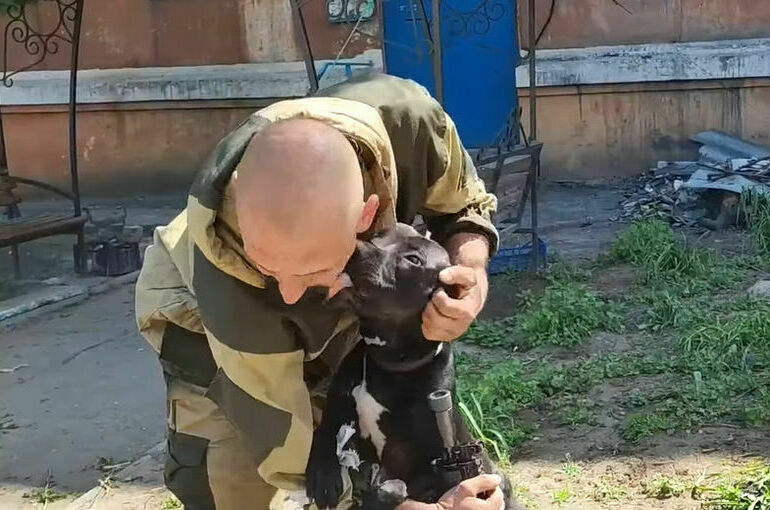 В Мариуполе российский военный спас собаку от голода