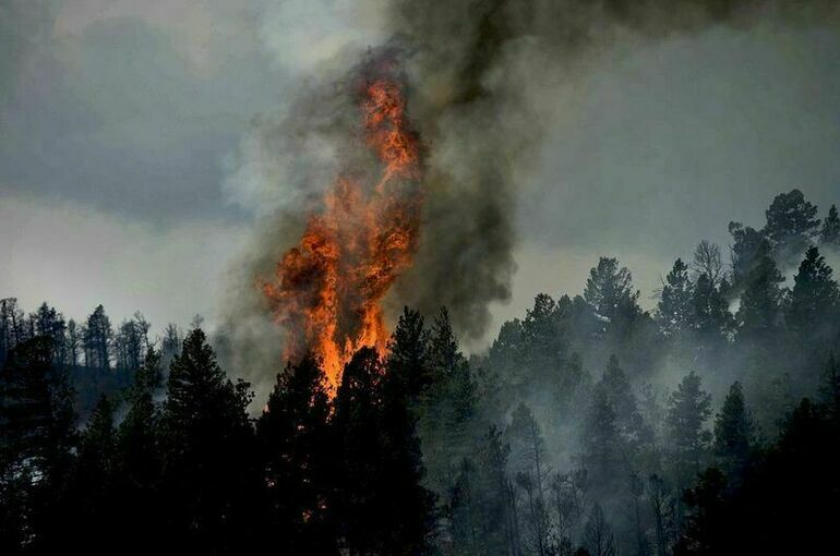 МЧС: Природными пожарами в России повреждено 30 жилых домов