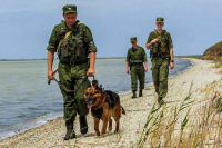Где используют армейских собак