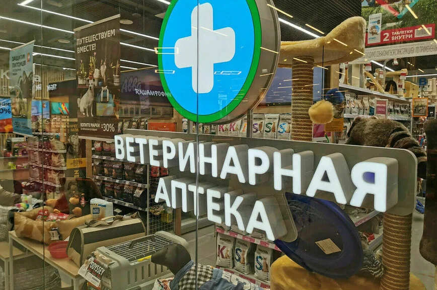 Сезонные прививки могут защитить животных от серьезных заболеваний, а хозяев — от инвалидности