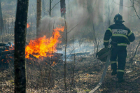 Путин анонсировал подготовку указа об оценке эффективности борьбы с пожарами