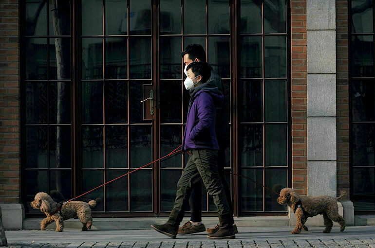 В Китае опровергли слух об изъятии у граждан загранпаспортов на фоне пандемии