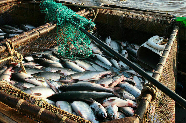 Кашин сообщил, какие изменения ждут рыболовов в следующем году