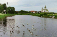 Туристический кешбэк принес регионам более 150 миллиардов рублей