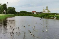 Туристический кешбэк принес регионам более 150 миллиардов рублей