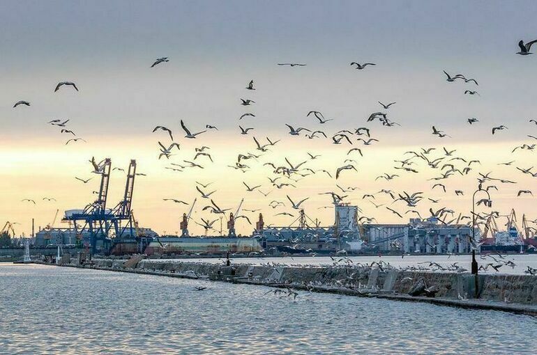 В МИД РФ ответили на призыв ООН прекратить блокаду морских портов Украины