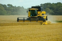 Эксперт оценил возможность поставок удобрений и вывоза украинского зерна