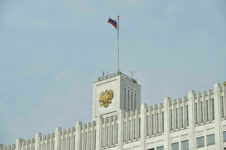 На применение антимонопольных норм к закупкам хотят ввести мораторий